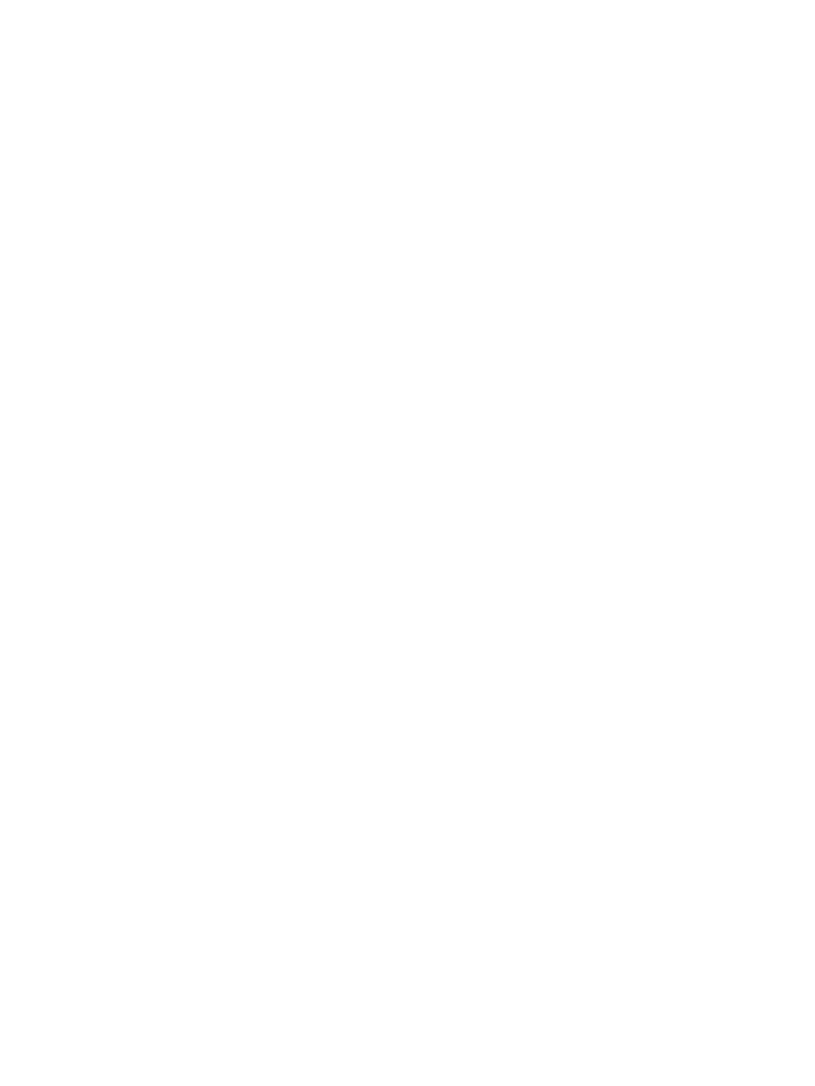 Escudo BNSA Advocacia